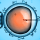 Illustration for article titled Scientists Clone a Mouse From a Single Drop of Blood